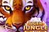 Tiger Jungle